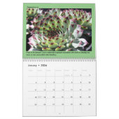 Calendrier Debra Lee Baldwin (Jan 2026)