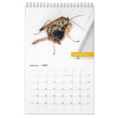 Calendrier Déchets de Hong Kong (Jan 2027)