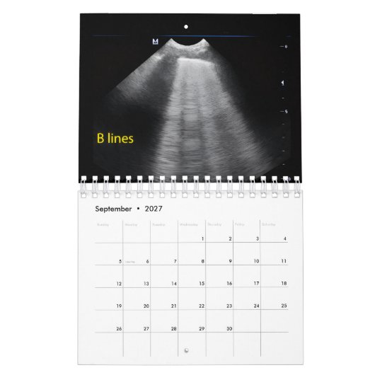 Calendrier d'échographie vétérinaire (Sep 2027)