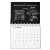 Calendrier d'échographie vétérinaire (Feb 2027)