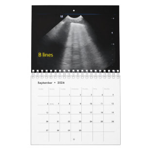 Calendrier d'échographie vétérinaire