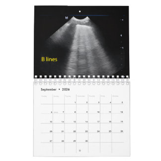 Calendrier d'échographie vétérinaire