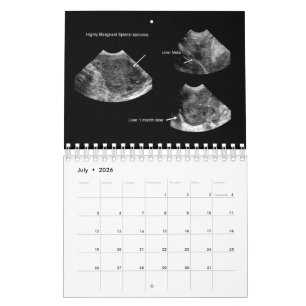Calendrier d'échographie vétérinaire 2026