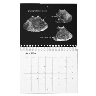 Calendrier d'échographie vétérinaire 2026