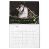 Calendrier d'écureuils de vol (Mar 2026)