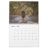 Calendrier Deep South Leonberger (Feb 2026)
