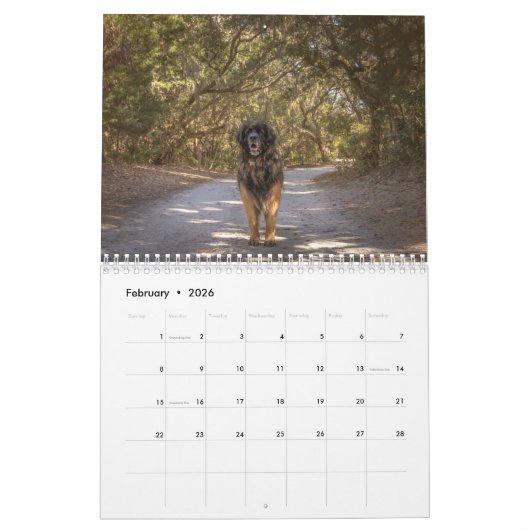 Calendrier Deep South Leonberger (Feb 2026)
