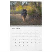 Calendrier Deep South Leonberger (Mar 2027)