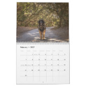 Calendrier Deep South Leonberger (Feb 2027)