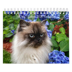 Calendrier d'équipe ICatz Forever 2020