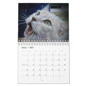 Calendrier d'équipe ICatz Forever 2020 (Mar 2027)