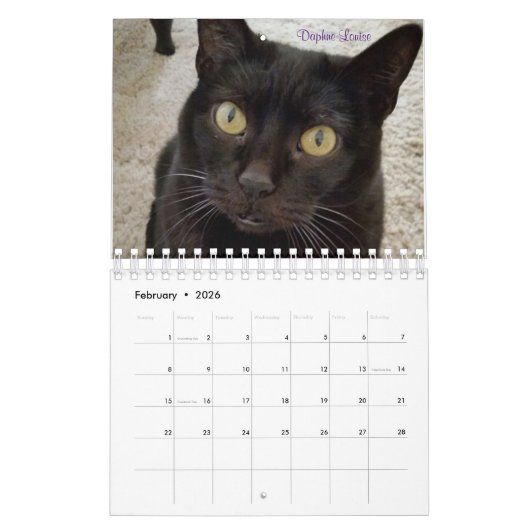 Calendrier d'équipe ICatz Forever 2020 (Feb 2026)