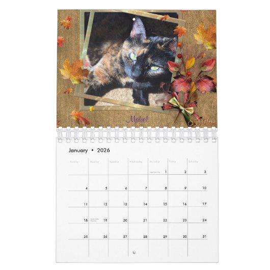 Calendrier d'équipe ICatz Forever 2020 (Jan 2026)