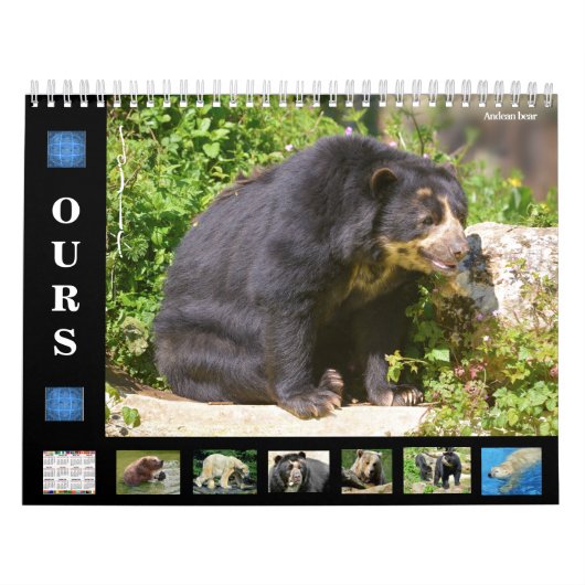 Calendrier des 12 mois divers ours (Protection)