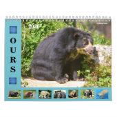 Calendrier des 12 mois divers ours (Protection)