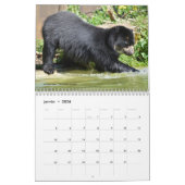 Calendrier des 12 mois divers ours (Jan 2026)