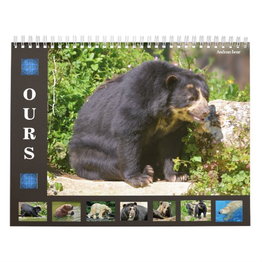 Calendrier des 12 mois divers ours (Protection)