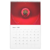 Calendrier des abeilles 2020 (Mar 2027)