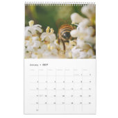 Calendrier des abeilles 2020 (Jan 2027)
