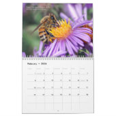 Calendrier des abeilles 2024 Miel et bourdons (Feb 2026)