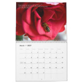 Calendrier des abeilles 2025 Miel et bourdons (Mar 2027)