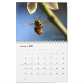 Calendrier des abeilles 2025 Miel et bourdons (Jan 2027)