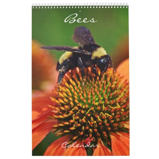 Calendrier des abeilles Aimer les abeilles (Protection)