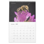 Calendrier des abeilles pour 2024 - 11 x 14¼ pouce (Jan 2027)