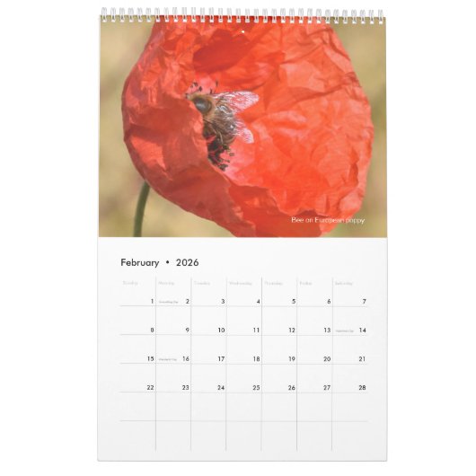 Calendrier des abeilles pour 2024 - 11 x 14¼ pouce (Feb 2026)