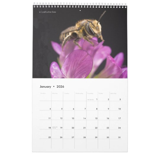 Calendrier des abeilles pour 2024 - 11 x 14¼ pouce (Jan 2026)