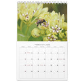 Calendrier des abeilles sur fleurs (Feb 2026)