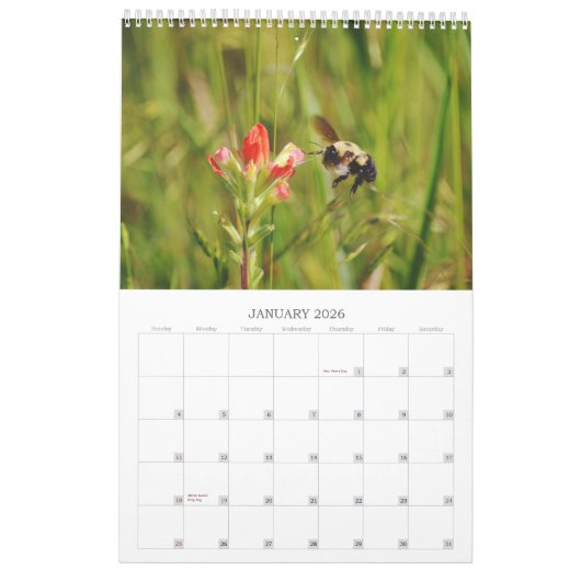 Calendrier des abeilles sur fleurs (Jan 2026)