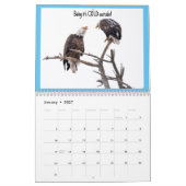 Calendrier des aigle 2023 (Jan 2027)