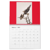 Calendrier des aigle 2023 (Feb 2027)