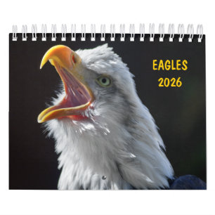 Calendrier des aigle 2025