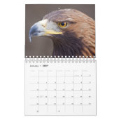 Calendrier des aigles (Jan 2027)