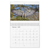 Calendrier des aigles (Feb 2027)