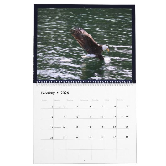 Calendrier des aigles de l'Alaska (Feb 2026)