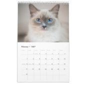 Calendrier des amants de chats (Feb 2027)
