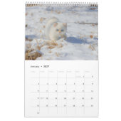 Calendrier des amants de chats (Jan 2027)