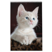 Calendrier des amants de chats (Protection)