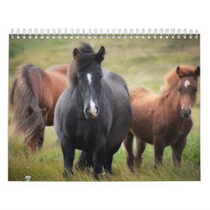 Calendrier des amateurs de chevaux