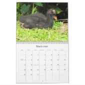 Calendrier des amis plumés 2016 (Encore) (Mar 2026)