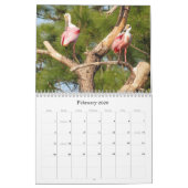 Calendrier des amis plumés 2016 (Encore) (Feb 2026)