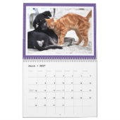 Calendrier des amitiés improbables entre animaux 2 (Mar 2027)
