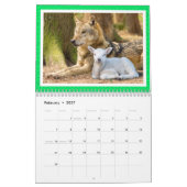Calendrier des amitiés improbables entre animaux 2 (Feb 2027)