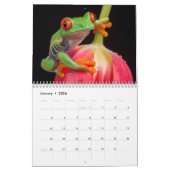 Calendrier des amoureux de la grenouille 2024 (Jan 2026)