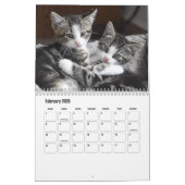 Calendrier des Amoureux de les chats Purry Furry m (Feb 2026)