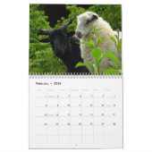 Calendrier des amoureux des moutons, Photos des mo (Feb 2026)