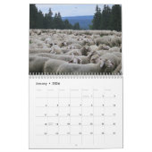 Calendrier des amoureux des moutons, Photos des mo (Jan 2026)